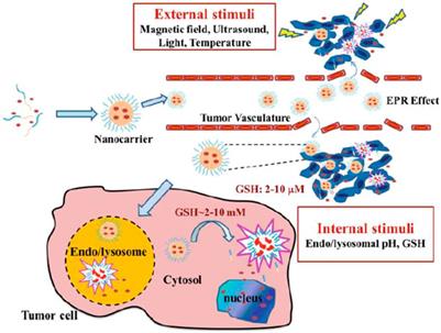 Physically stimulus-responsive nanoparticles for therapy and diagnosis